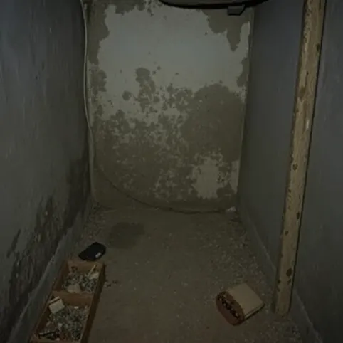 Odgrzybianie piwnicy cena